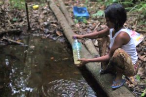 plight of orang asli women