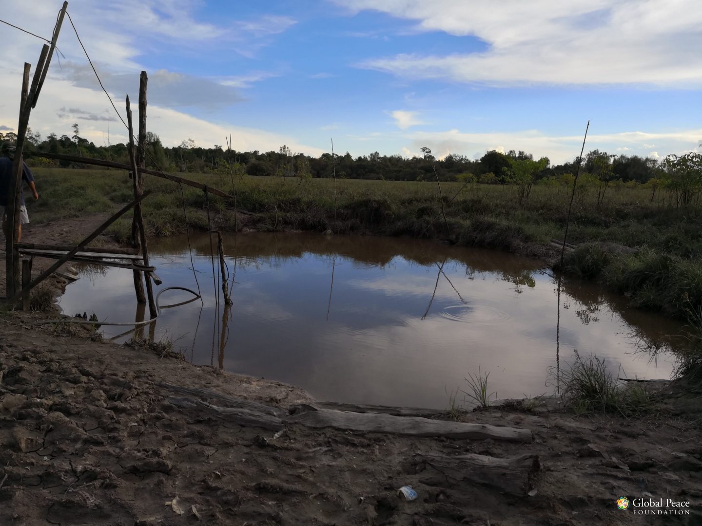 Muddy pond for bathing