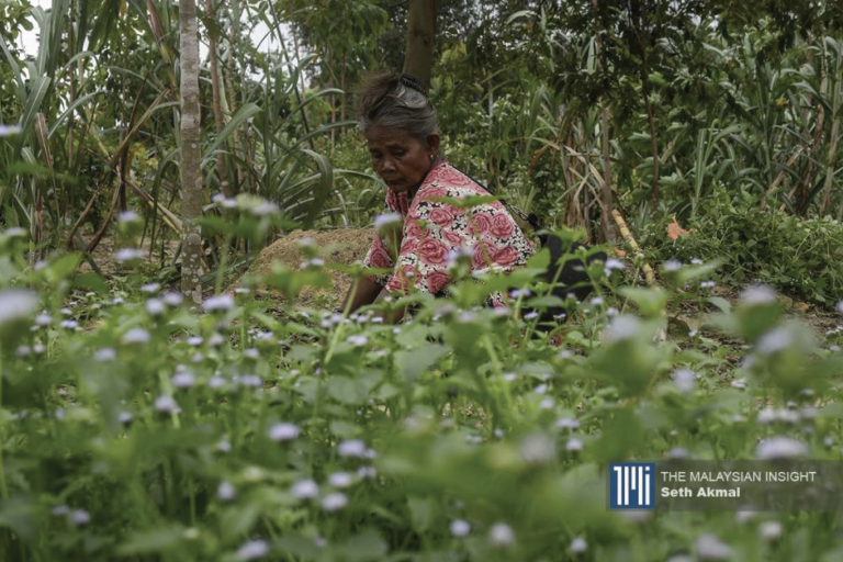 Screen-Shot-2020-09-03-at-4.36.06-PM