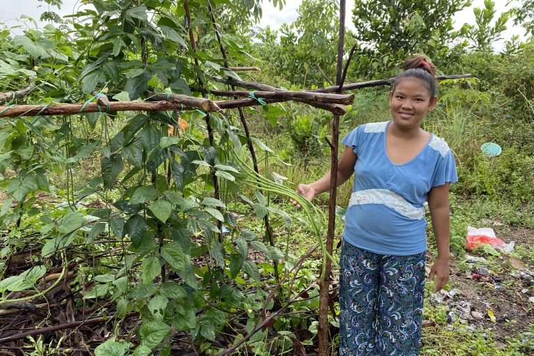 50623419552_3c2ae57da7_o