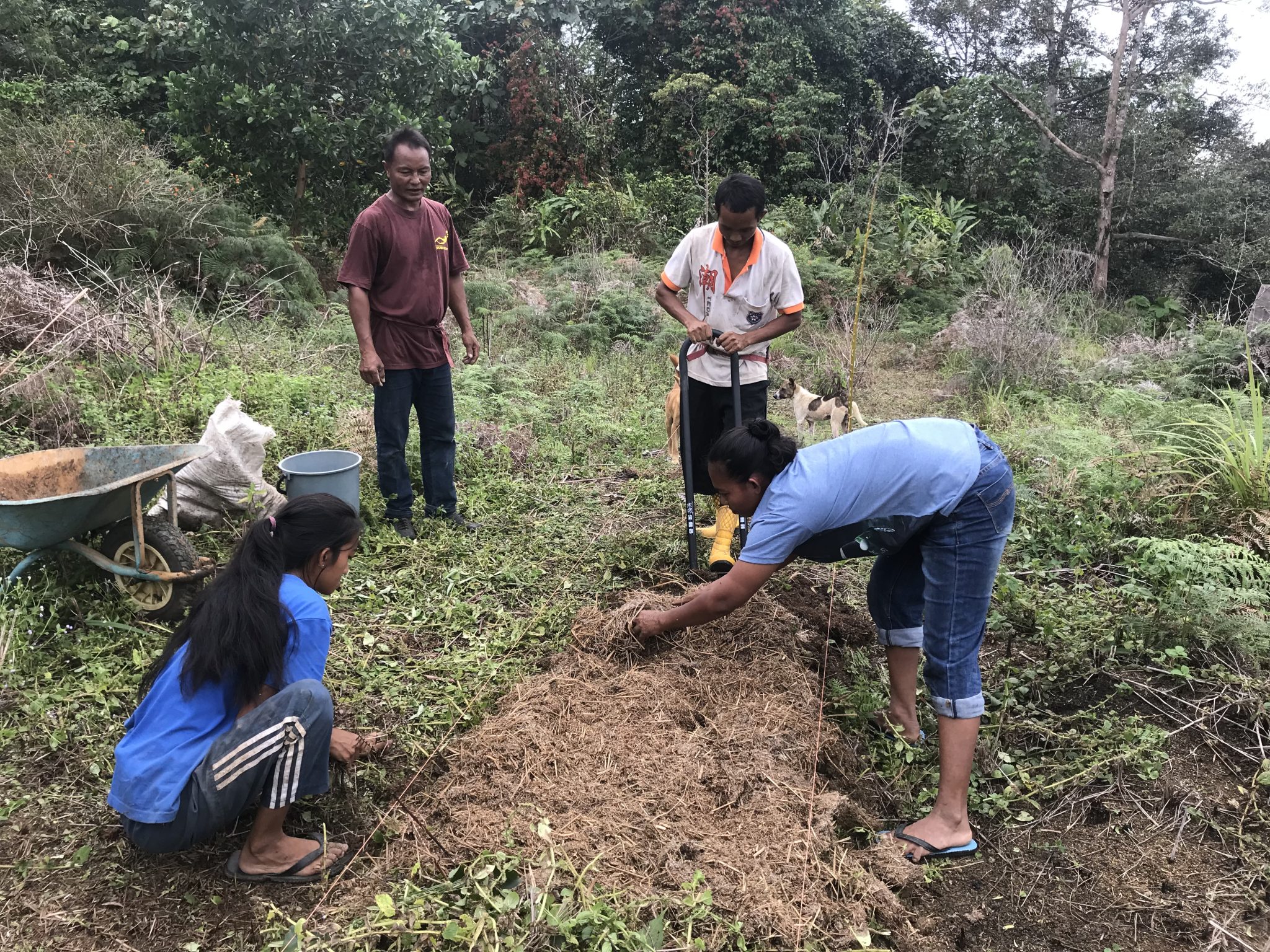 1 Year Milestone: Fruitful Beginnings Of Regenerative Farming – Global ...