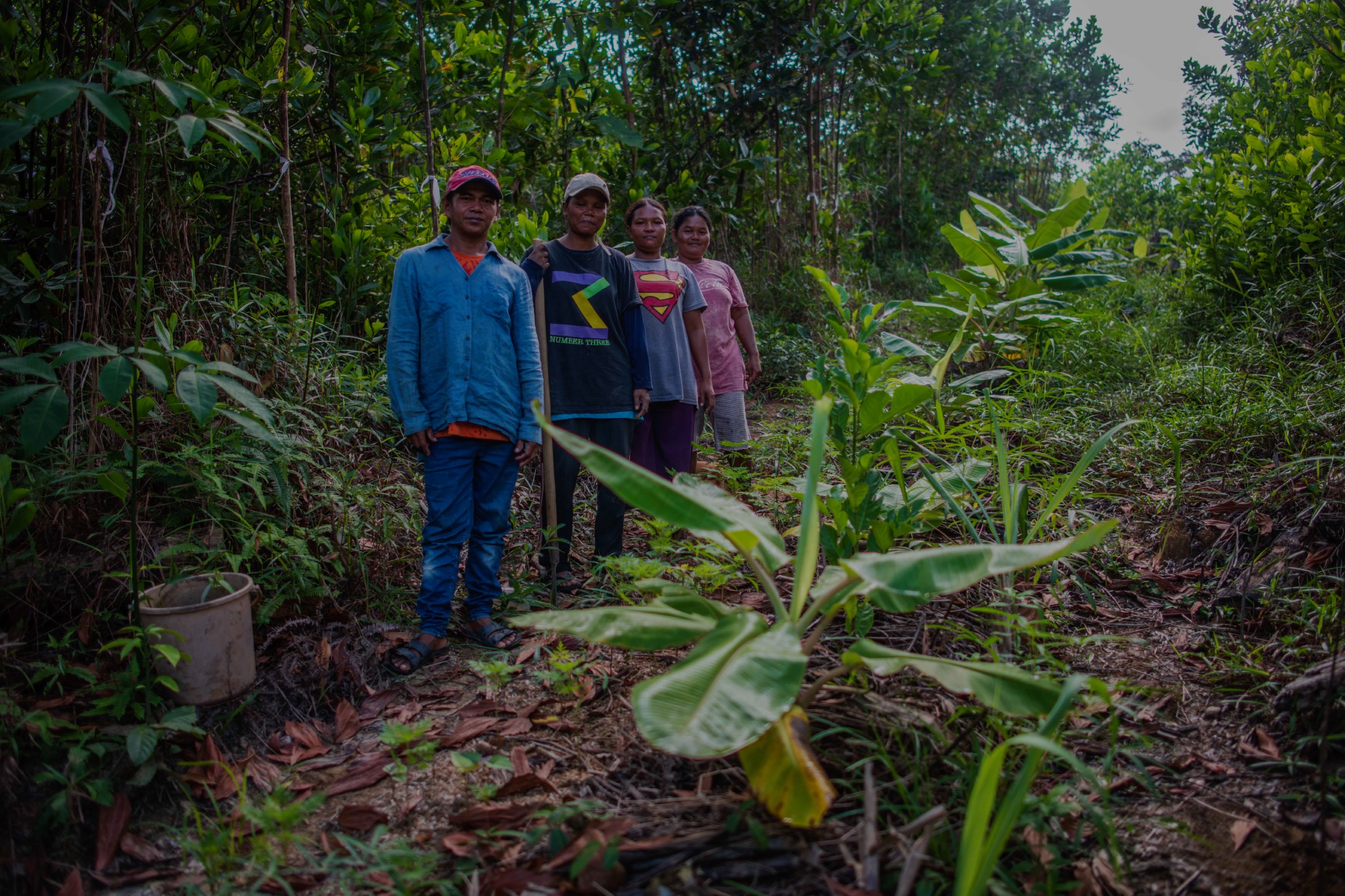 Regenerative Farming