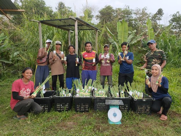 52794220806_871da67a50_c