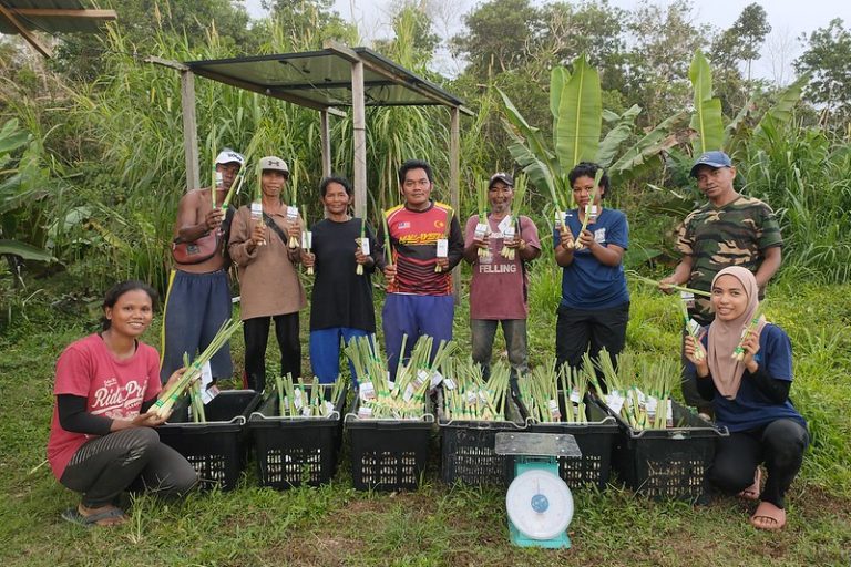 52794220806_871da67a50_c