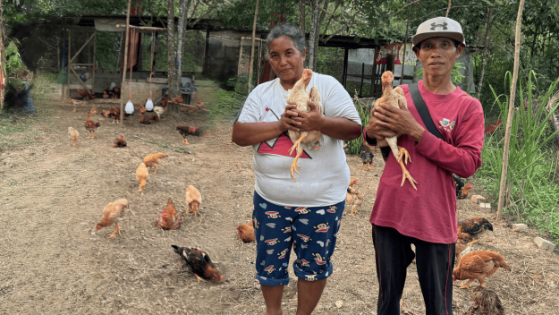 Amai Yati and Mamak Jamida with their chickens