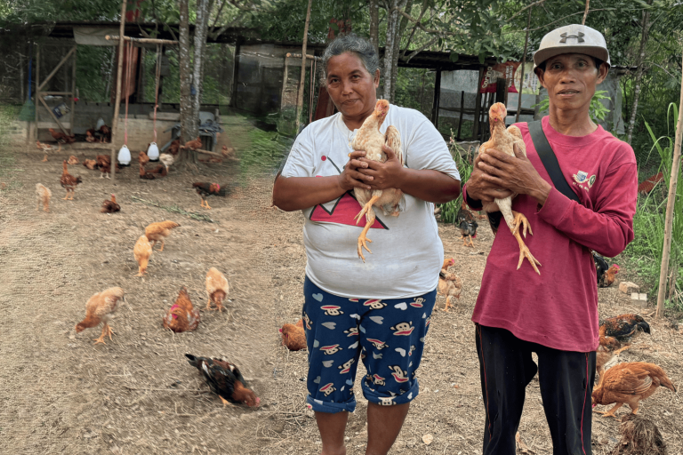 Amai Yati and Mamak Jamida with their chickens