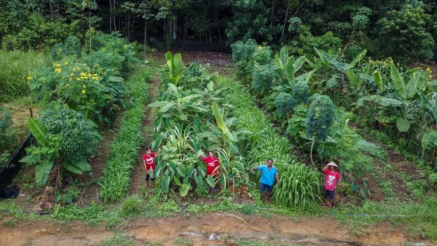 Regenerative Agriculture