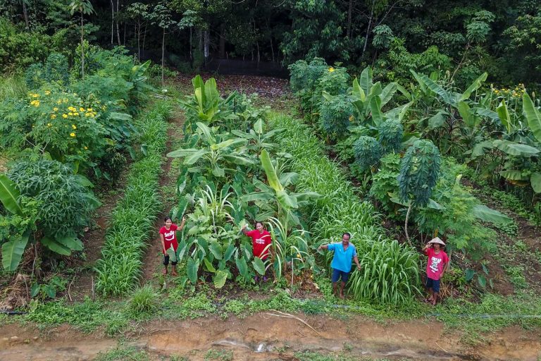 Regenerative Agriculture