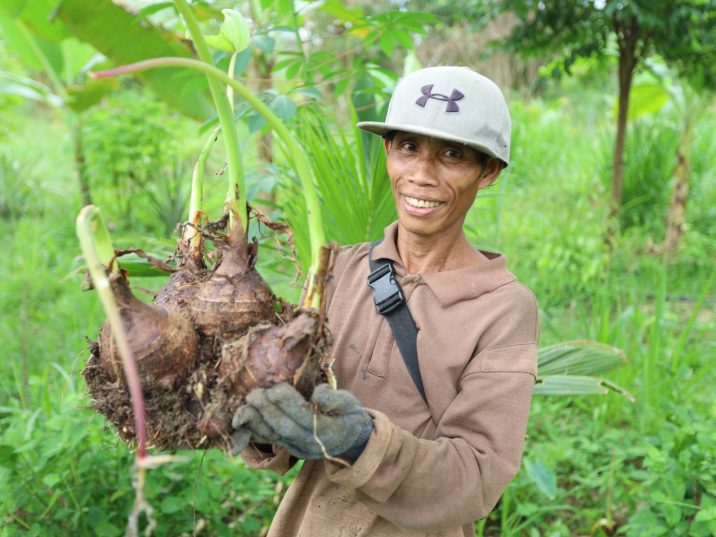 Syntrophic Farming Example