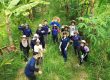 Syntropic Volunteer Opportunities