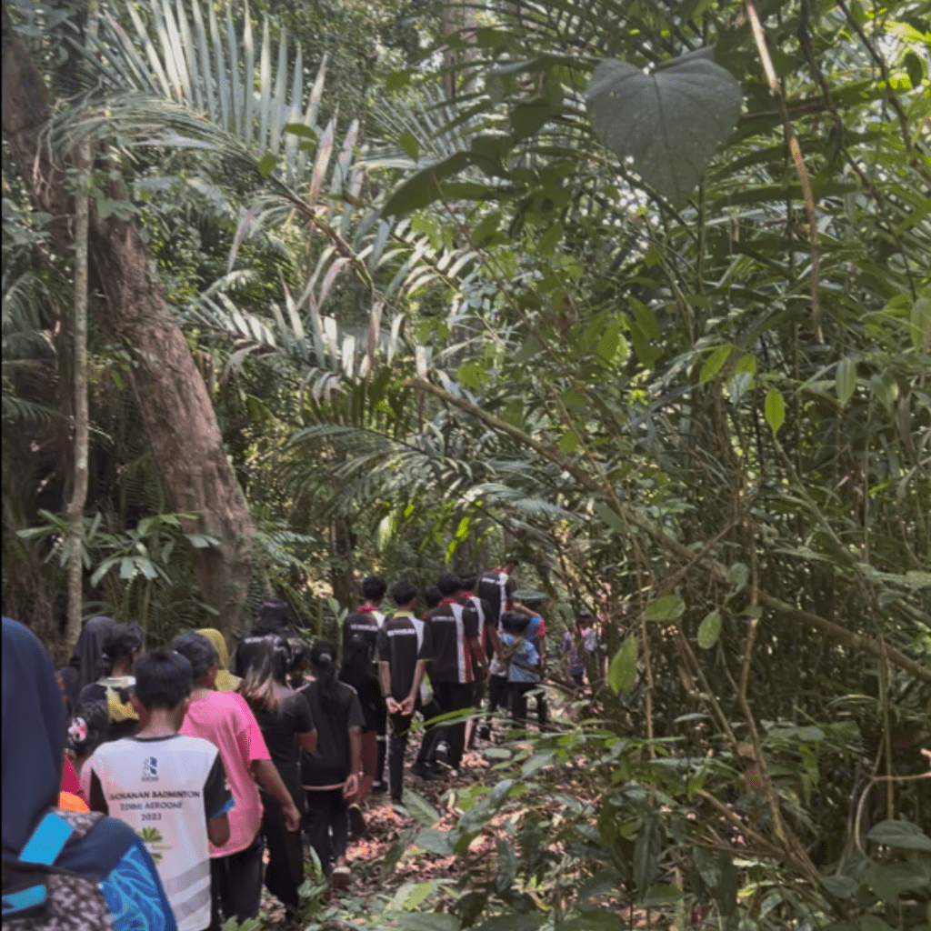 FOREST WALK